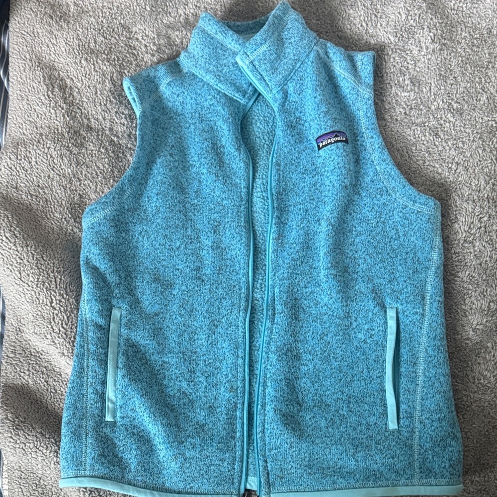 Patagonia better sweater Vest